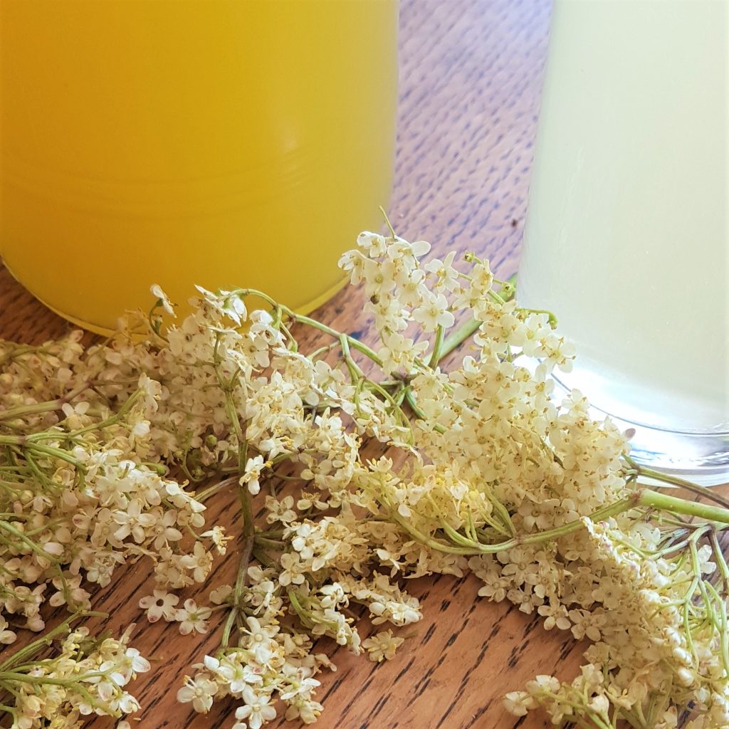 Elderflower, lemon and orange cordial