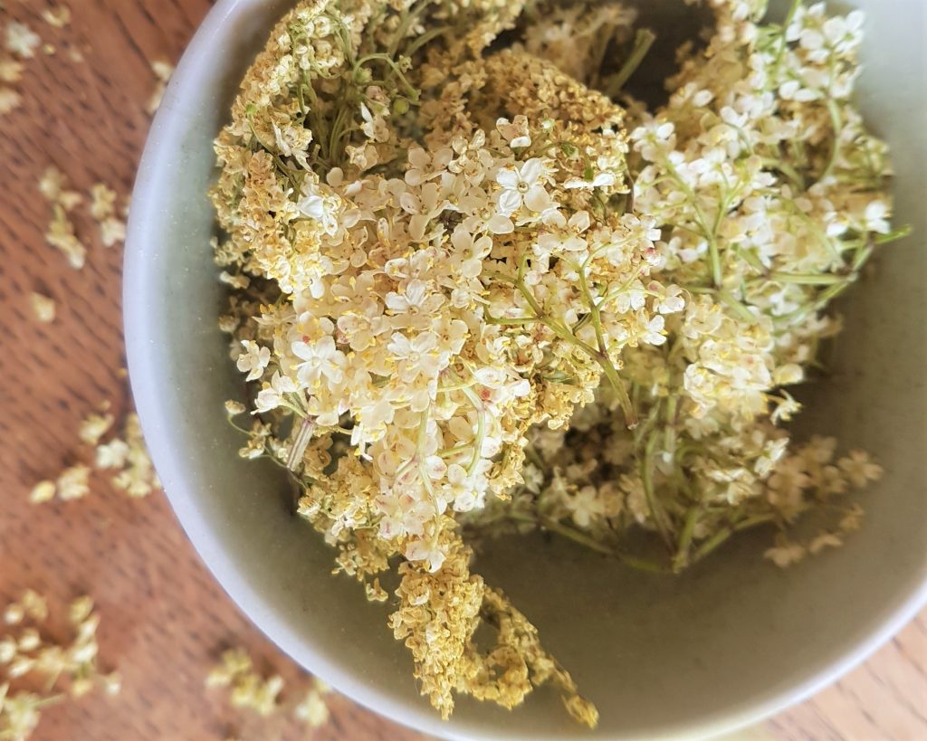 Bowl of elderflowers