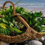 Pocket Cornwall Wild Food Foraging in Cornwall and the Isles of Scilly cover image low-res (1)