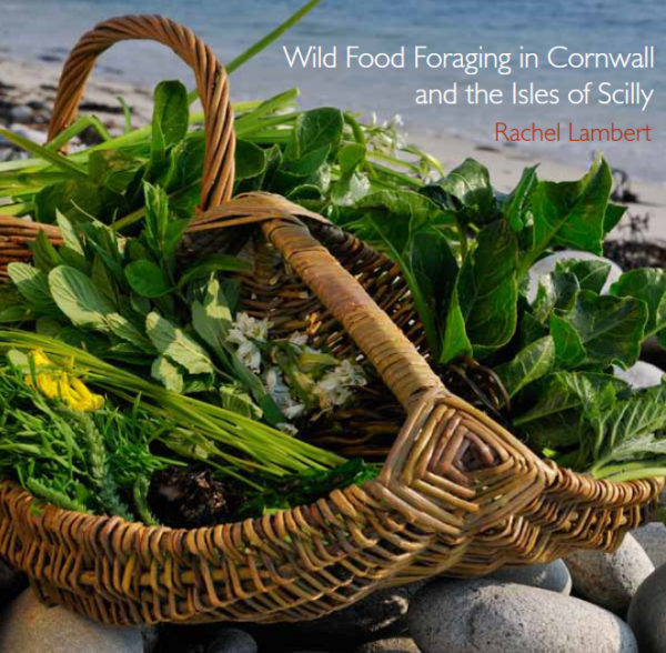 wild food foraging book