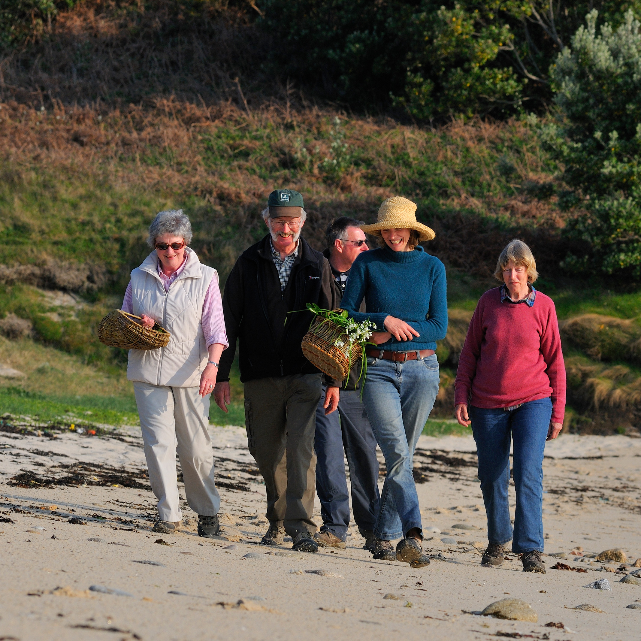 www.wildwalks-southwest.co.uk