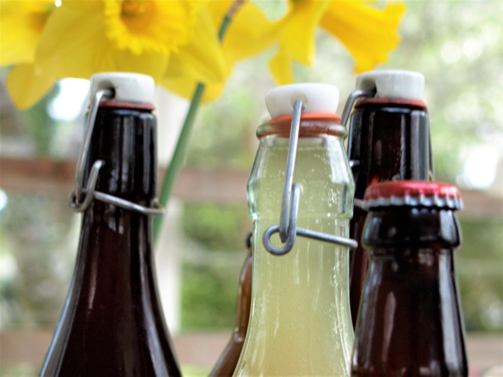 Bottles of nettle beer on a foraging course