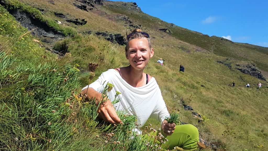Forager Rachel Lambert, picking samphire!