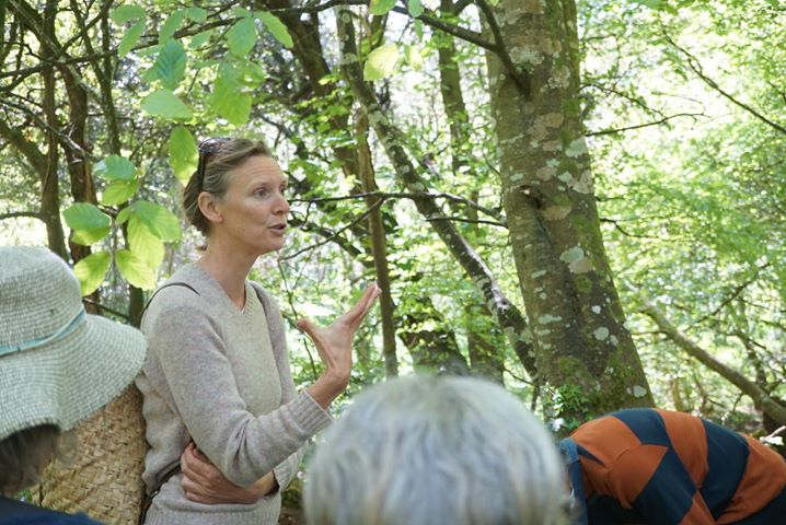 Rachel Lambert leads a foraging walk, punctuated with songs
