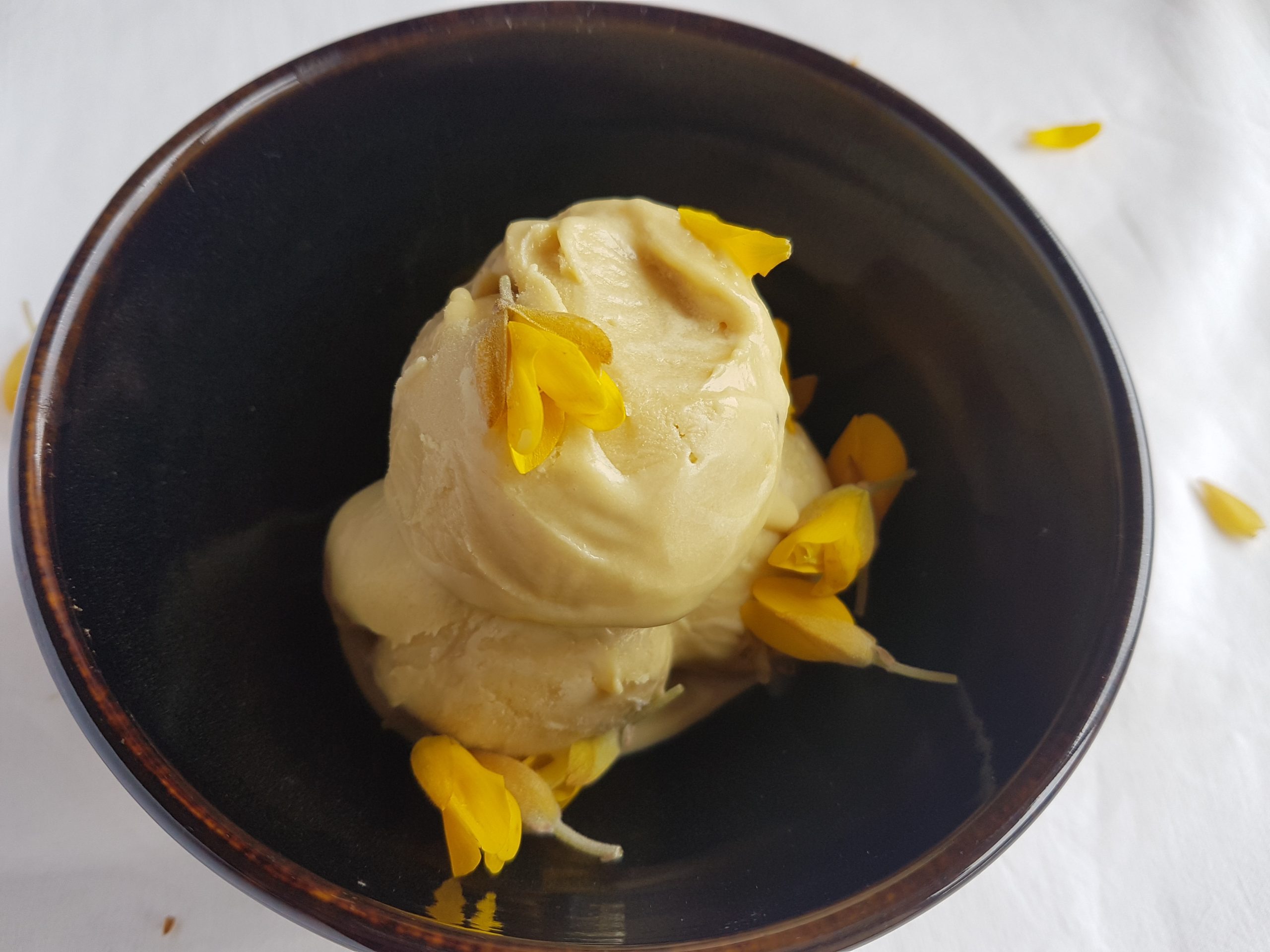 The Best Gorse Flower Ice Cream Recipe Wild Walks Southwest