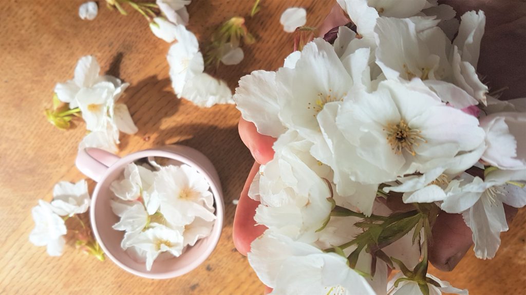 Loving spring blossoms
