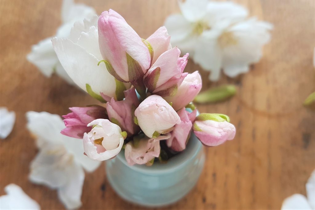 Spring blossoms in a vase