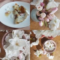 Making cherry blossom syrup and pancakes