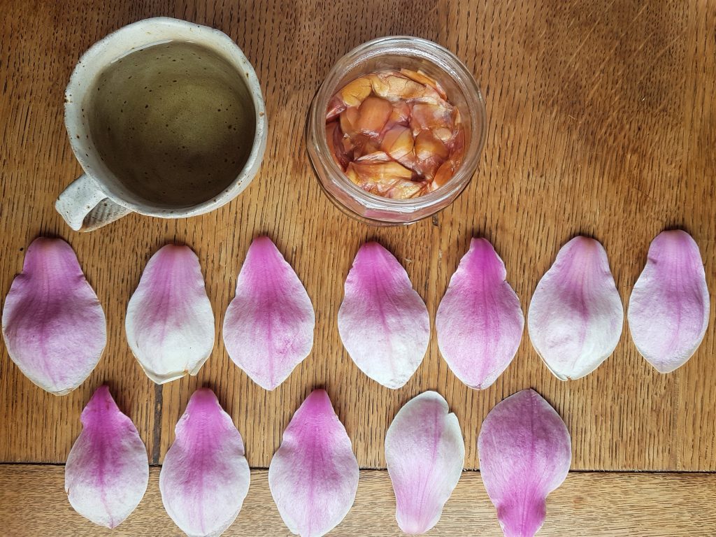 What to do with magnolia flowers
