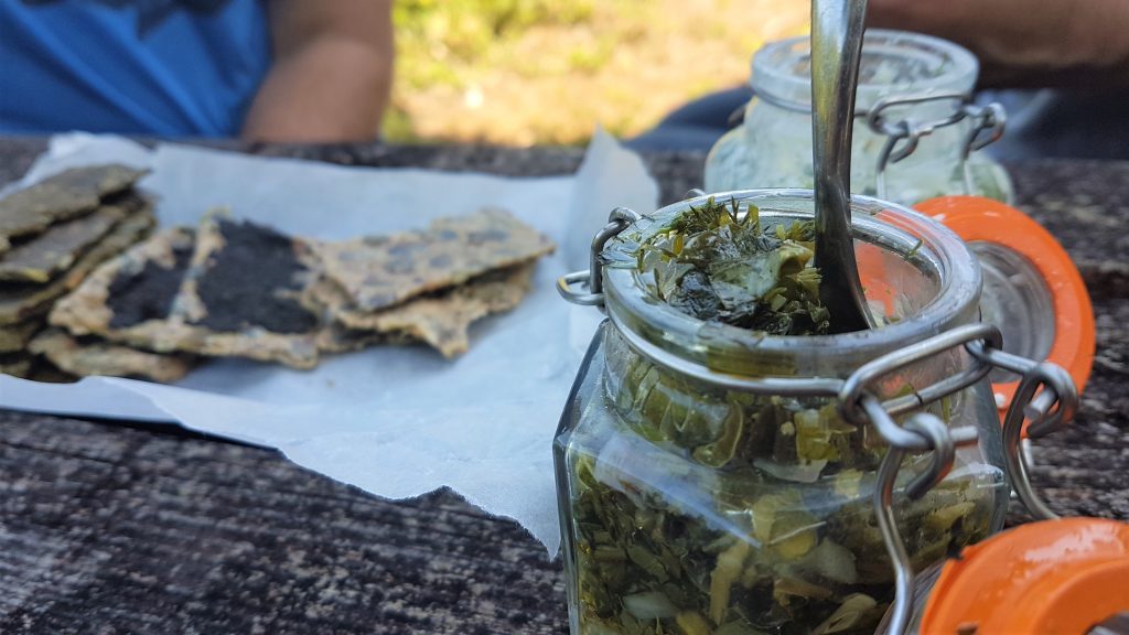 Plantain crackers and salsa verde on a picnic table