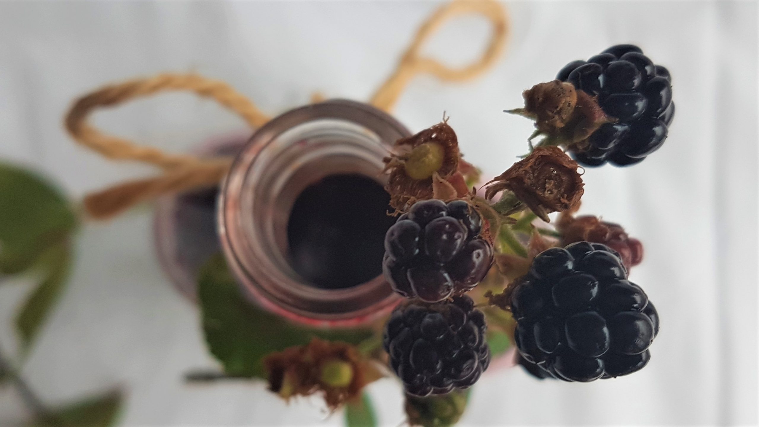 Rich Blackberry Cordial Recipe Wild Walks Southwest