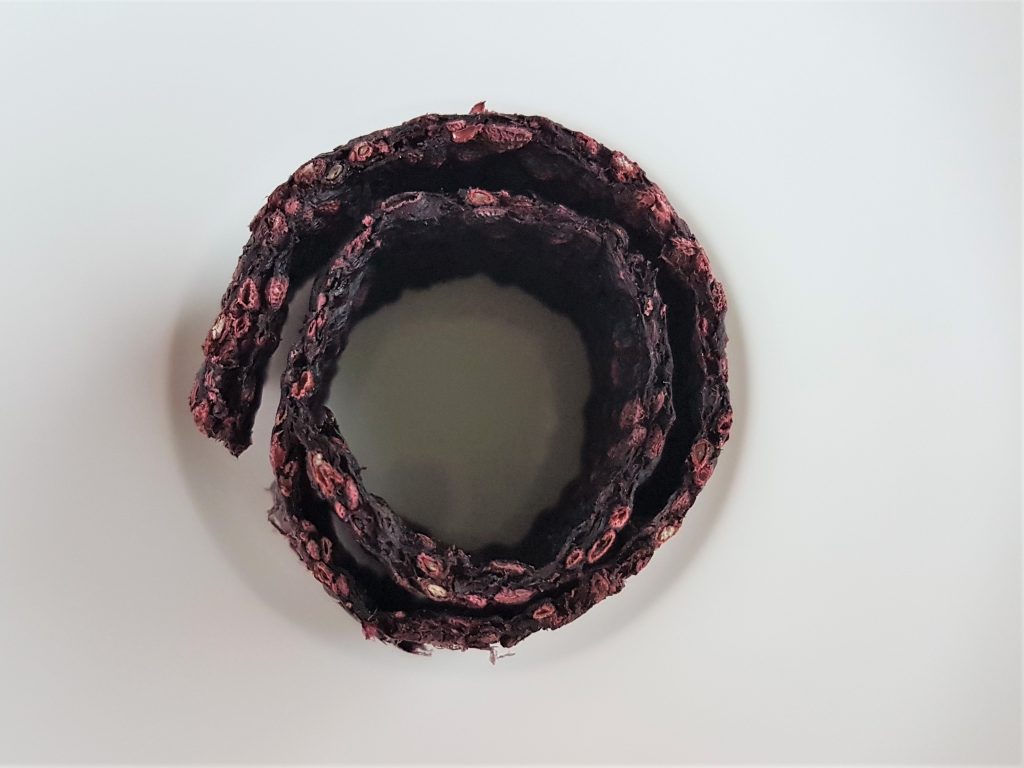 a coil of blackberrry seeded fruit leather