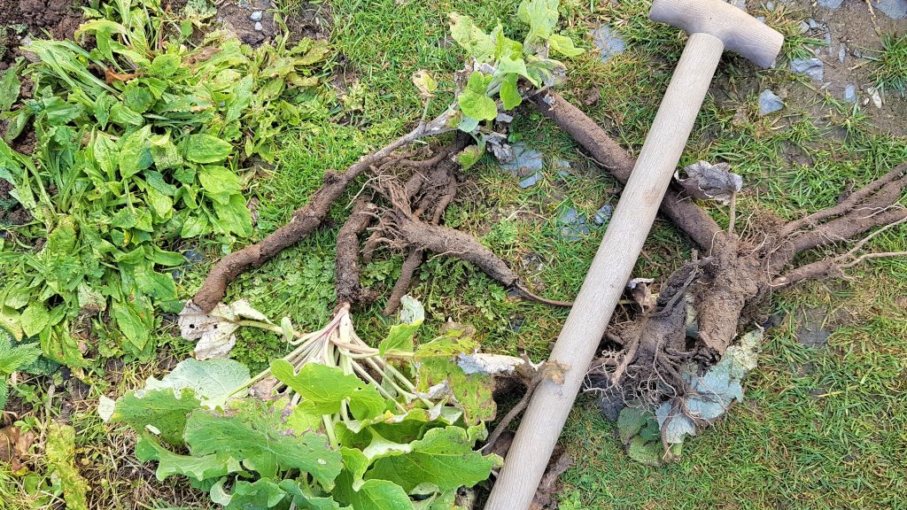 Roots of our labour