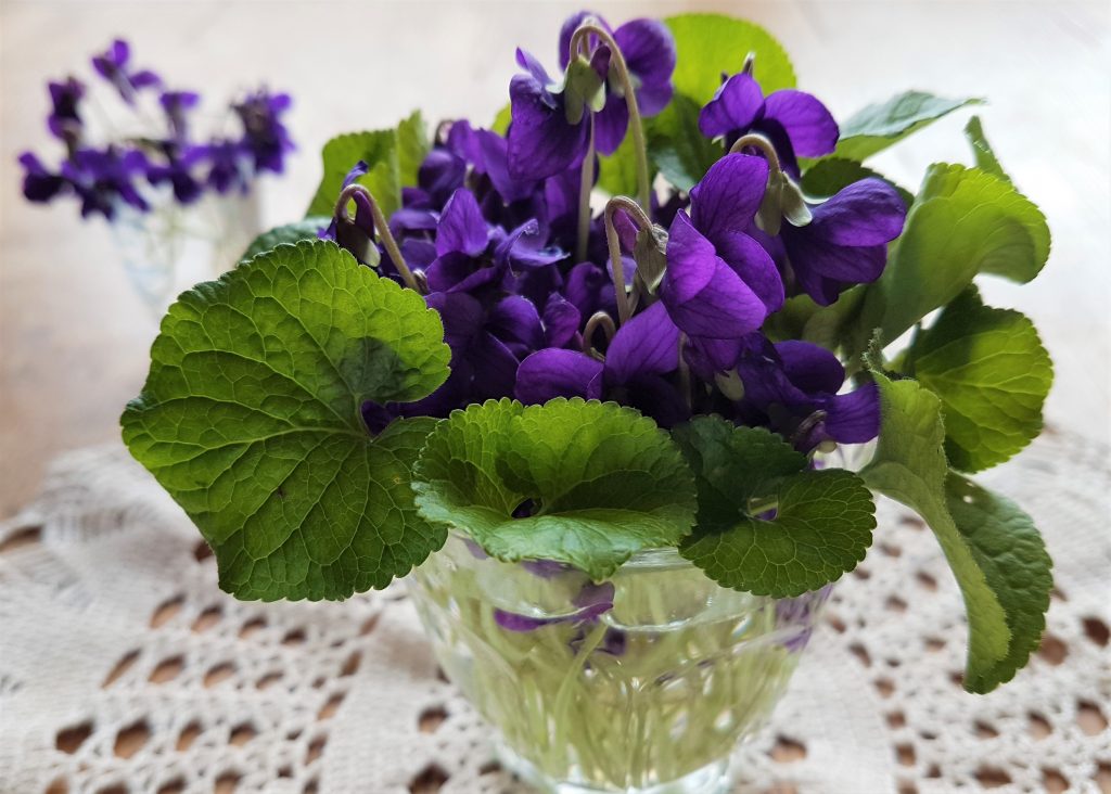 A homemade posy of violets from a foraging course in Cornwall