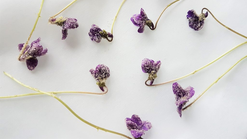 Crystallised wild violets collected on a foraging course