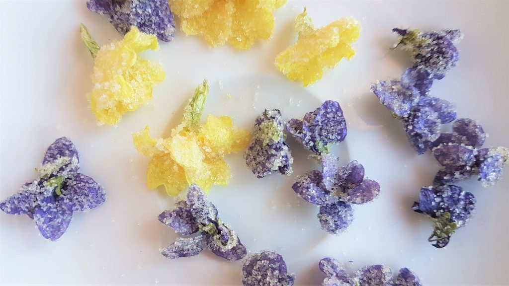 Crystallised primroses and violets for a wild, foraged dessert