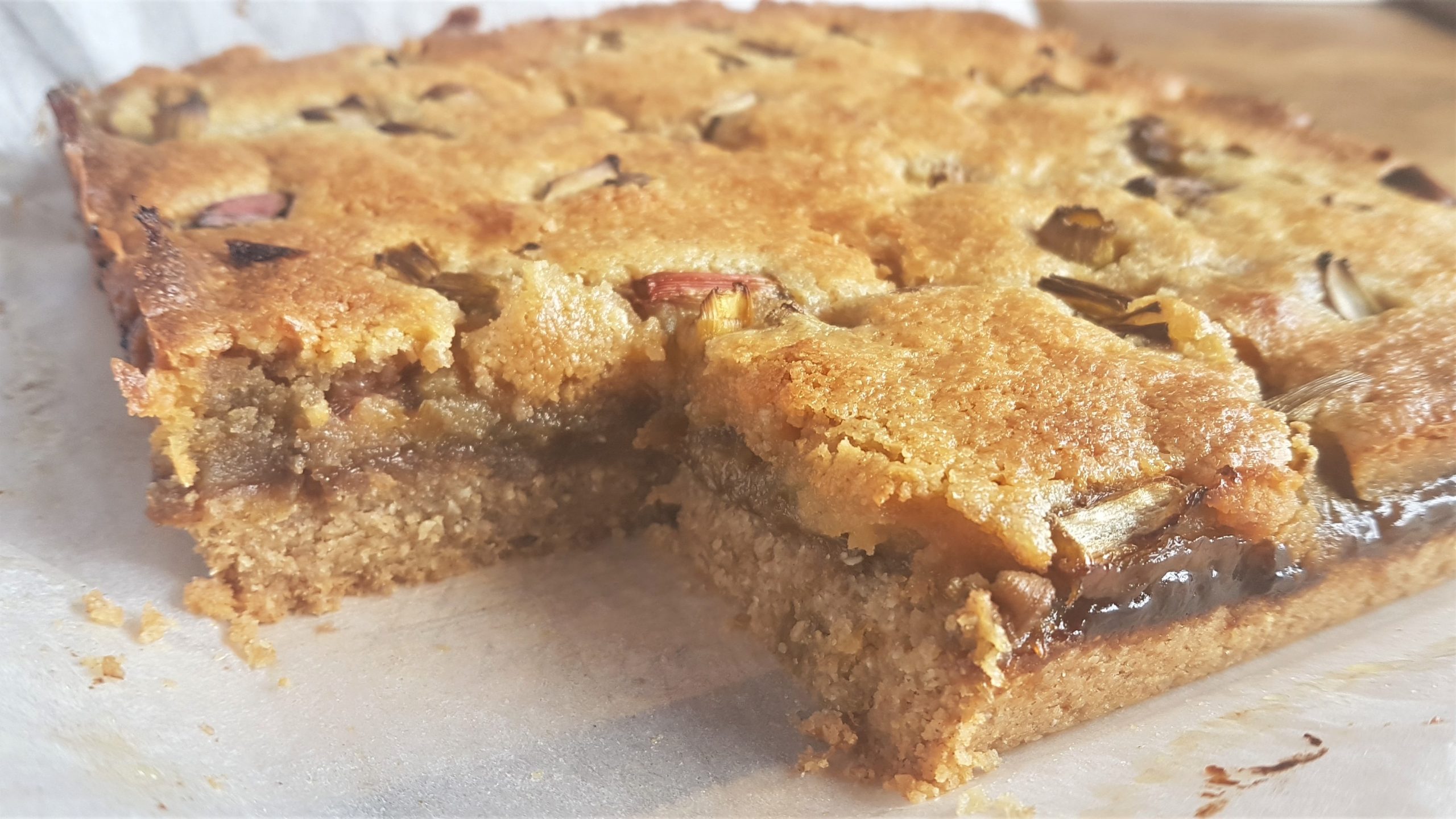 Freshly baked frangipane with foraged Japanese knotweed from a wild food course