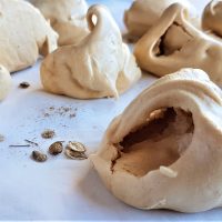 Details of hogweed seed meringues for foraging course in Cornwall