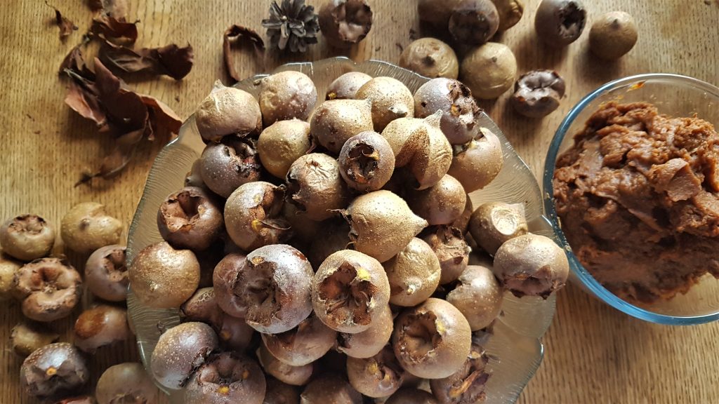 Bletted medlars from a foraging course