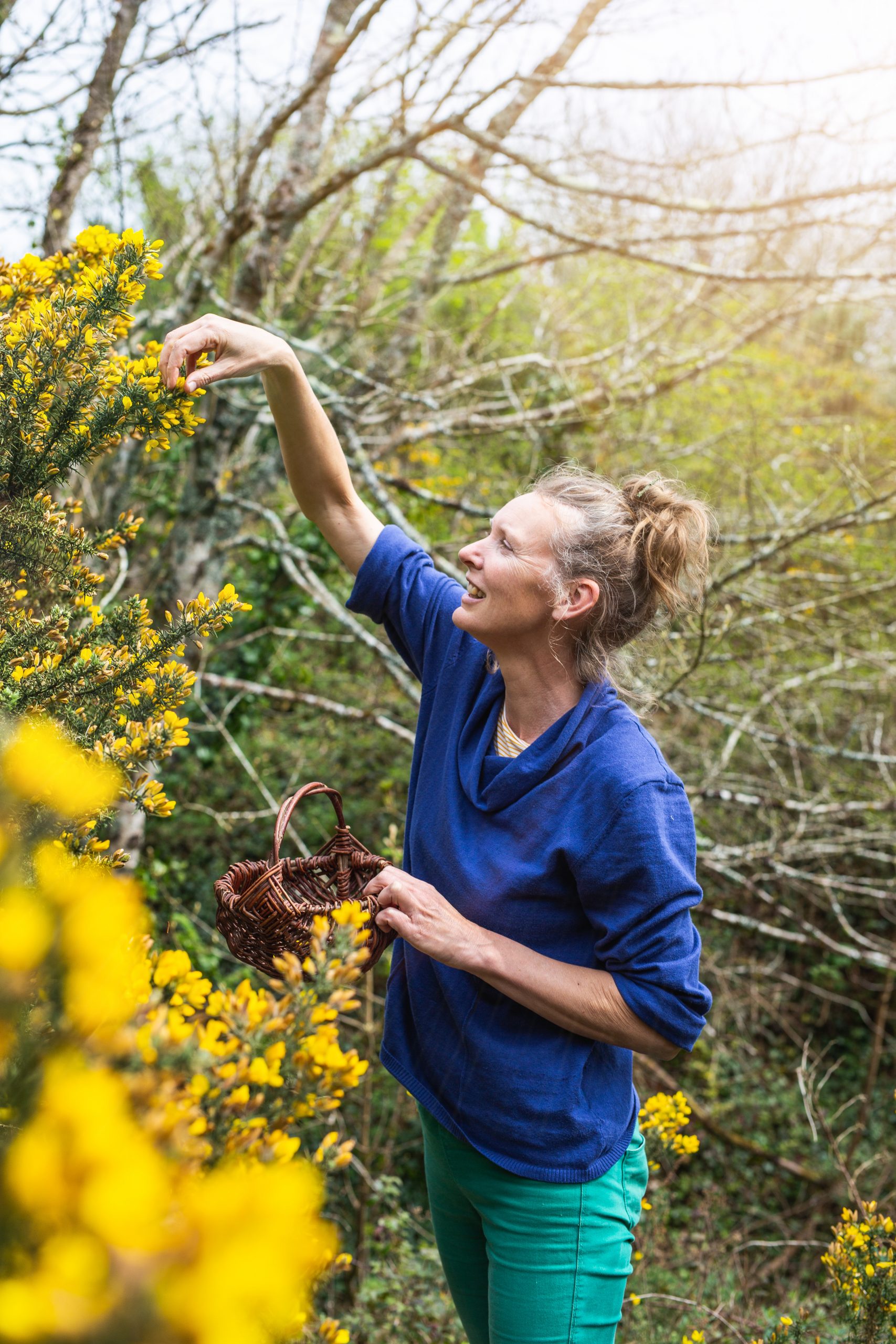 Forager Rachel Lambert picking gorse