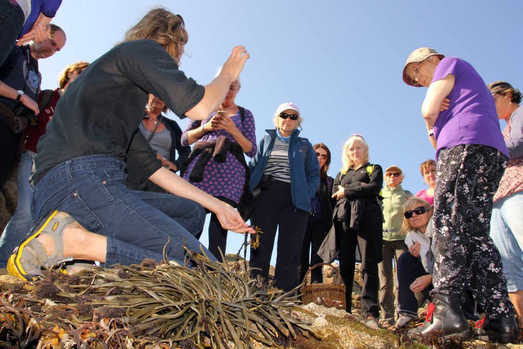 Group of adults with forager Rachel Lambert