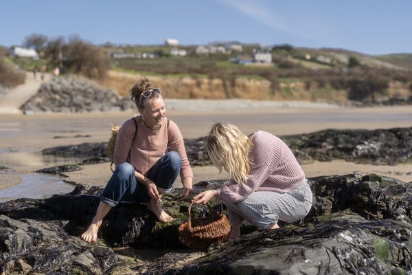 A seaweed foraging course learn how to take care of and forage sustainably edible seaweeds
