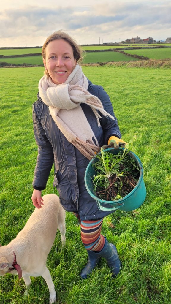 Woman digs dandelions as part of 'The Dandelion Project'