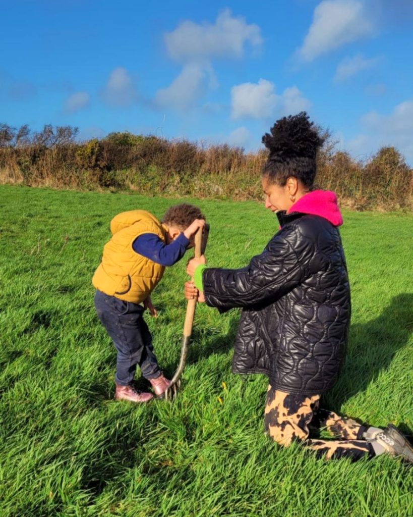 Mother and son digging up wild dandelion roots in Cornish field