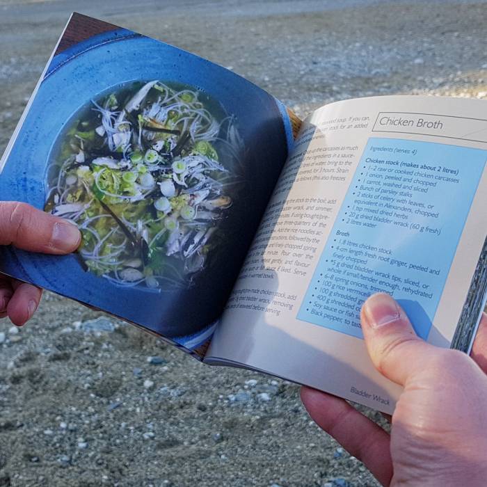 Awardwinning foraging books by Rachel Lambert