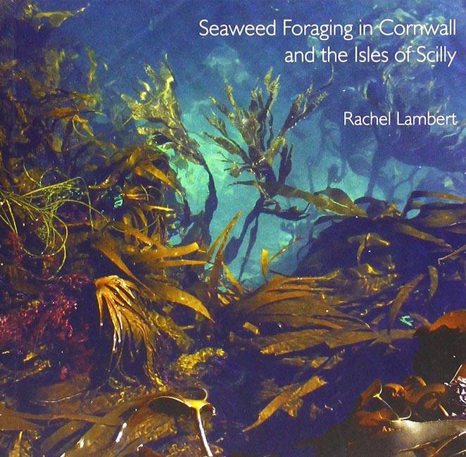 Foraging guide for edible seaweeds