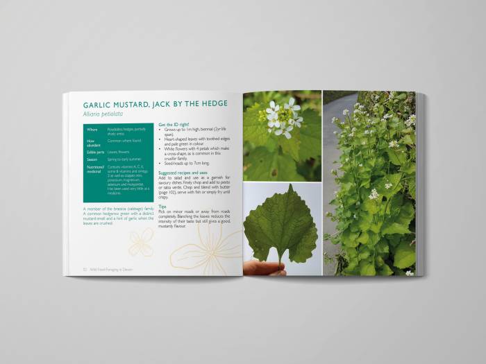 Sneak preview of Wild Food Foraging in Devon book