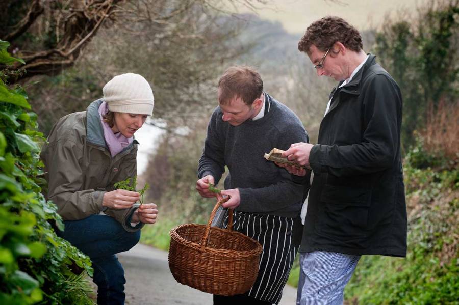 Teaching chefs about foraging in Cornwall