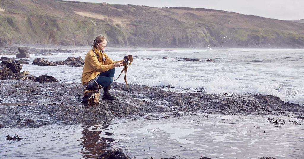 Forager Rachel Lambert is collecting kelp an edible seaweeds on the West Cornish coast